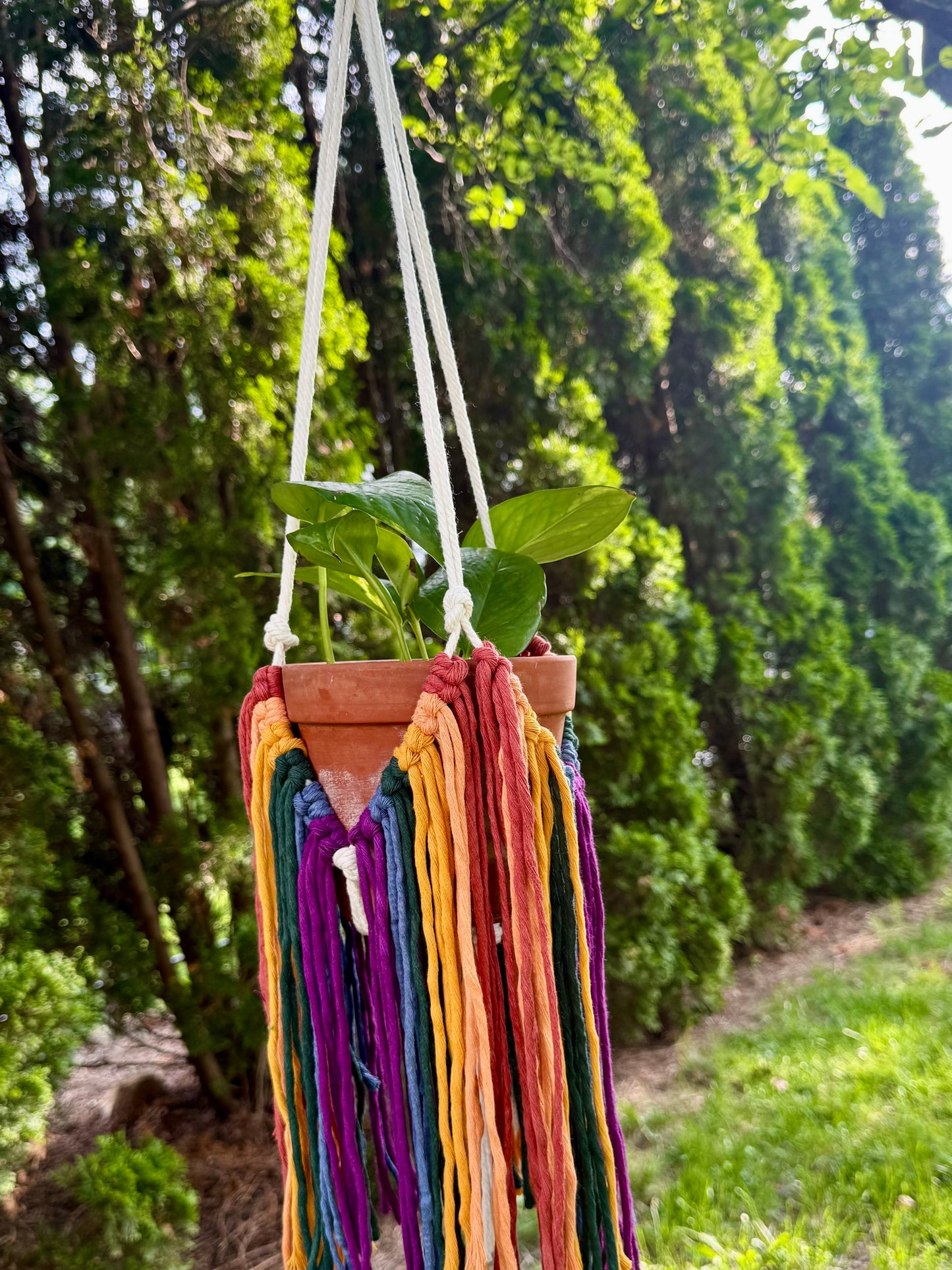 Plant Hanger - Rainbow Fringe