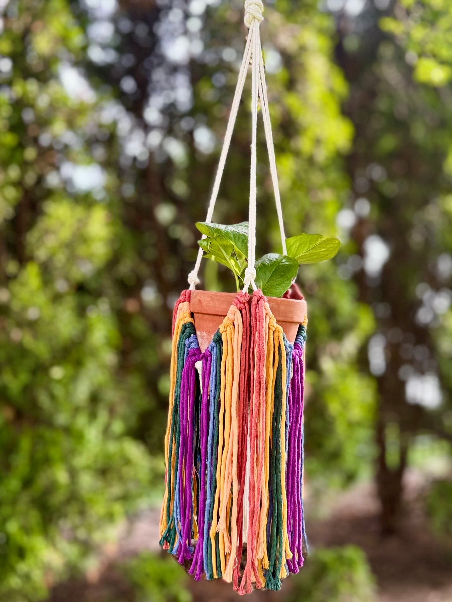 Plant Hanger - Rainbow Fringe
